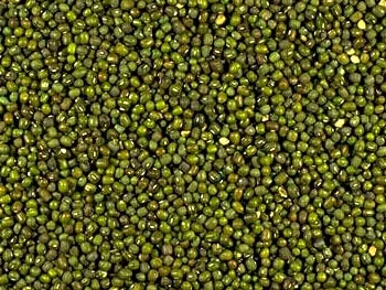 Mung beans (cherupayar) before soaking.