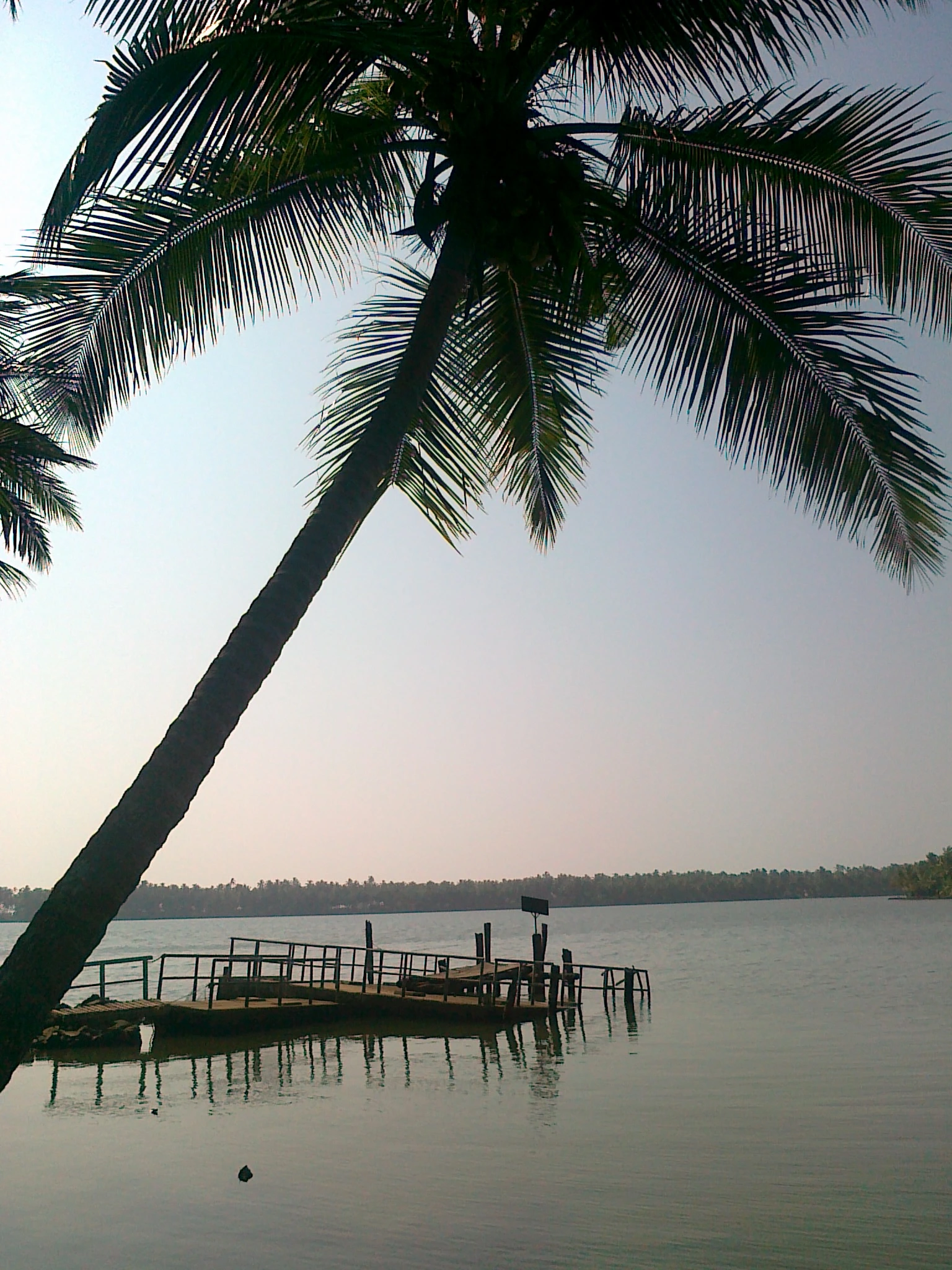 Mangrove Forest Island Kavvayi