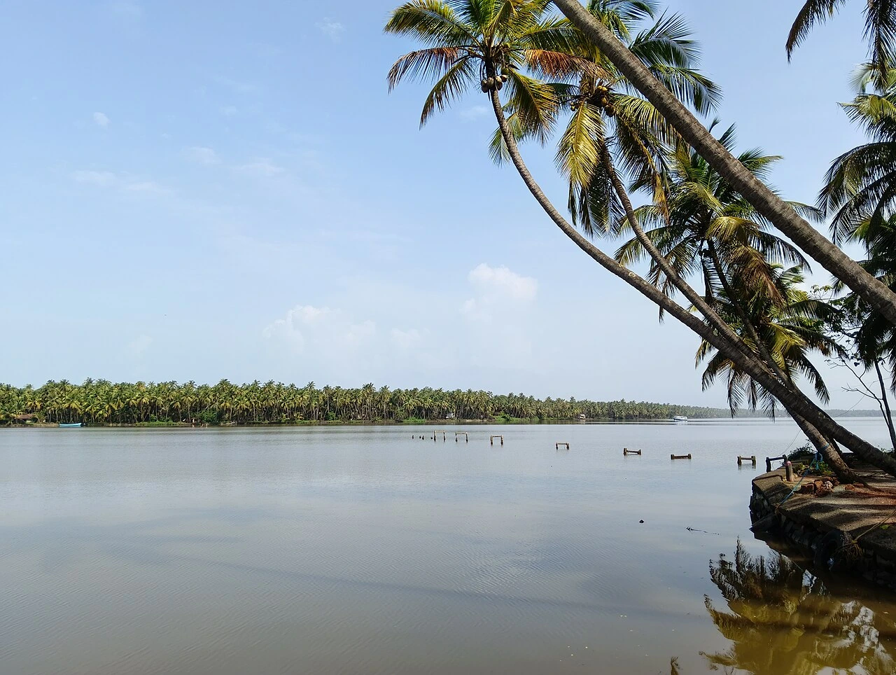 Payyannur Kayaking (Kavvayi Backwaters)